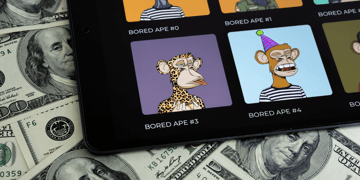 Bored-Ape-Scam