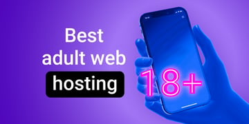 Adult_web_hosting
