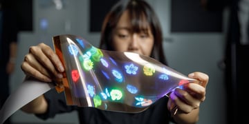 LG_display