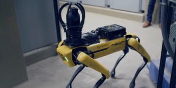 Robot factory dog on site