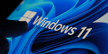 Windows 11 on a screen