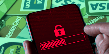 Identity fraud
