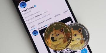 doge-twitter