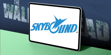 Skybound data breach