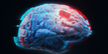 Brains