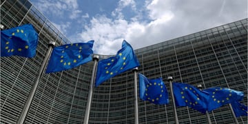 EU flags
