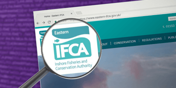 IFCA web flaw