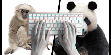 Panda vs Gibbon paradox