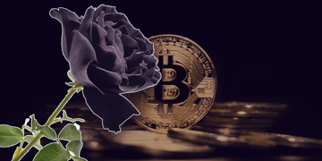 Black rose with a crypto coin