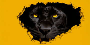 Puma graphic