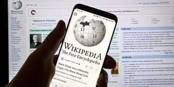 wiki-pedia-musk