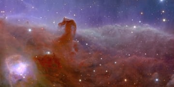 Horsehead Nebula