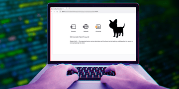 ALPHV ransomware down