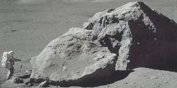 Moon soil veggies