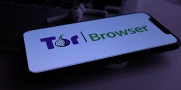 tor_0313