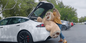 tesla-trunk-teddy-bear