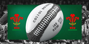 WRU data leak