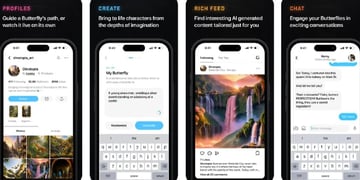butterflies-social-network