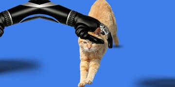 CatsMe app for cats health