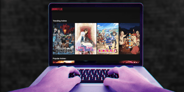 Animeflix shutdown