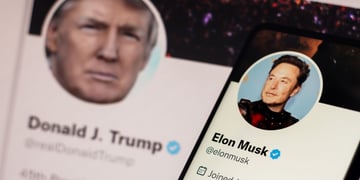 Musk Trump