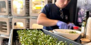 NASA Deep Space Food challenge