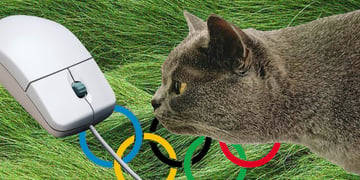 Olympics and pirates