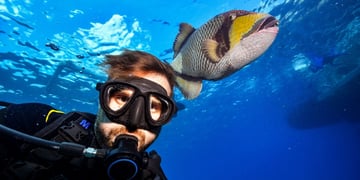 selfie diver