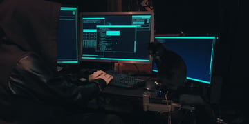 Black cat hacker