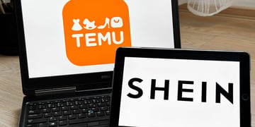 Shein, Temu