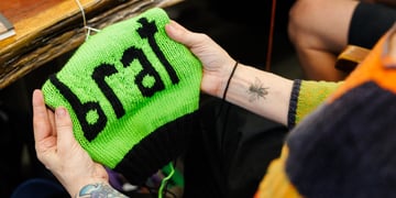 brat_1008