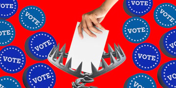 Election fraud