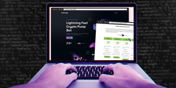 Fake scam website