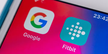 Fitbit Labs Insights Explorer