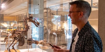 museums-animals-bots