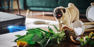 deebot, ecovacs chasing dogs