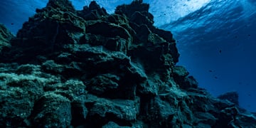 underwater