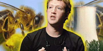 Zuckerberg bees nuclear