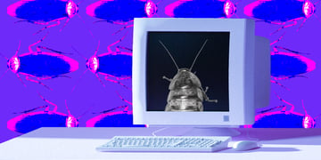 Biggest sofware bugs, vulnerabilities, flaws