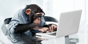monkey_1101