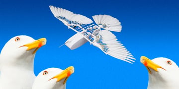 robot_bird_1120