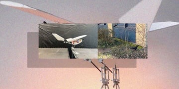 bird drone