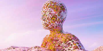 Cortisol Detox