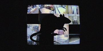 HiatusRAT Chinese web cameras