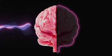 Brain rot