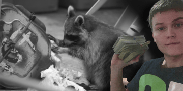 racoon-stealer-operator