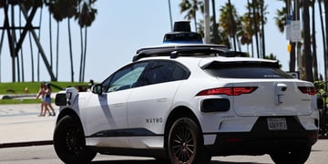 waymo-palm-trees