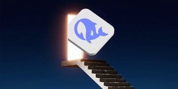 DeepSeek AI model
