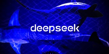 Deepseek with sharks