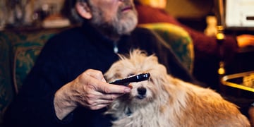 Man watching TV with dog on lap